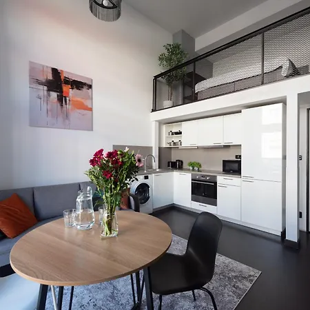 Loft Spacious In Lejlighed Prag