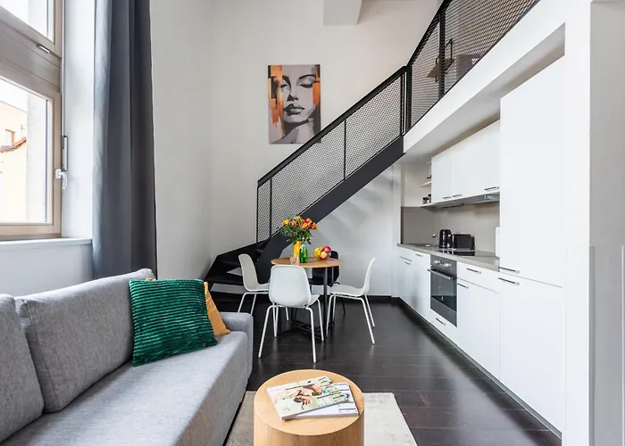 Loft Spacious In Apartman *