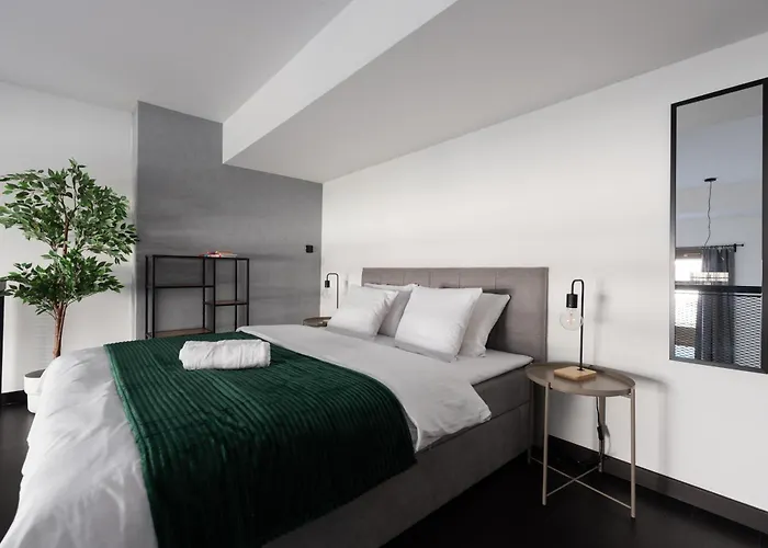 Loft Spacious In Apartman *
