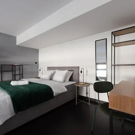 Loft Spacious In Apartment