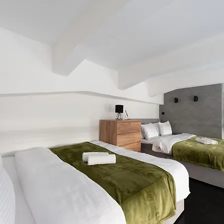 Loft Spacious In *